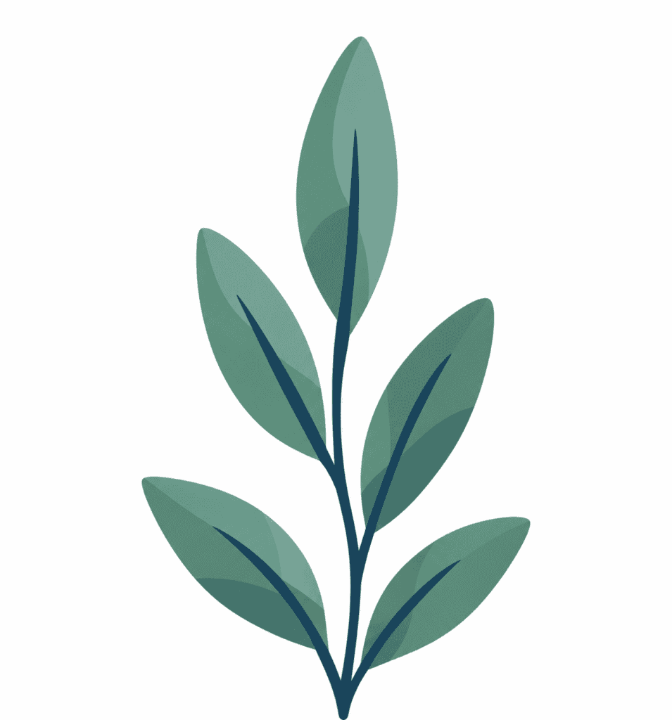 plante qui pousse